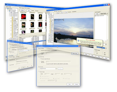 Windows 7 Batch Photo WaterMark 2.00 full