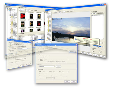 Screenshot of Batch Photo WaterMark 1.00